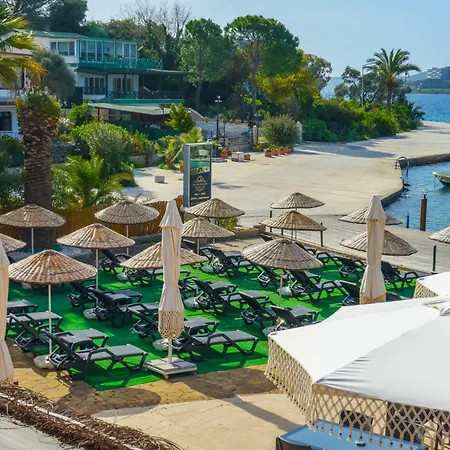 Hotell Oscar Seaside & By Club Aquarium Guvercinlik (Bodrum)
