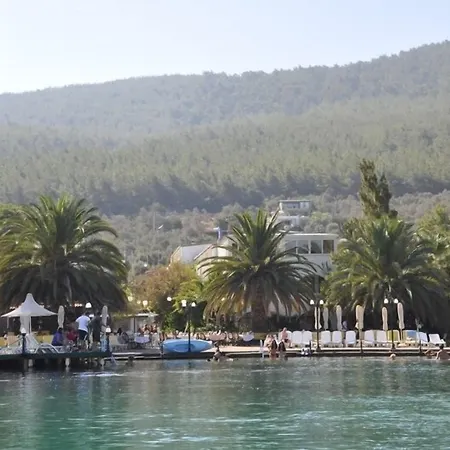 Oscar Seaside & 4* Guvercinlik