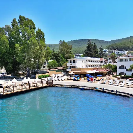 Oscar Seaside & By Club Aquarium Hotel