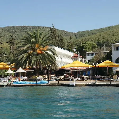 Oscar Seaside & غوفرجينليك