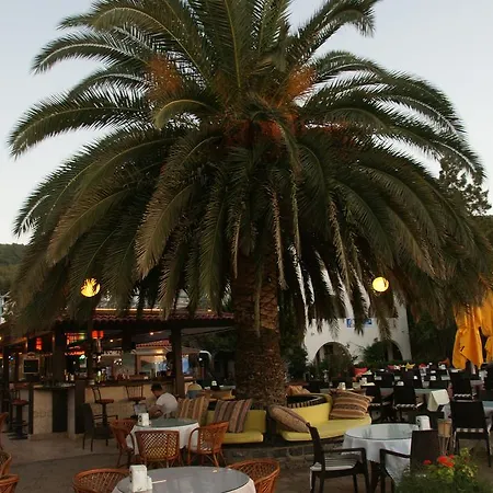 فندق Oscar Seaside &
