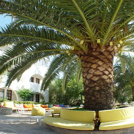 فندق Oscar Seaside & غوفرجينليك