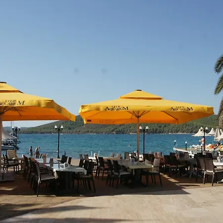 فندق Oscar Seaside &