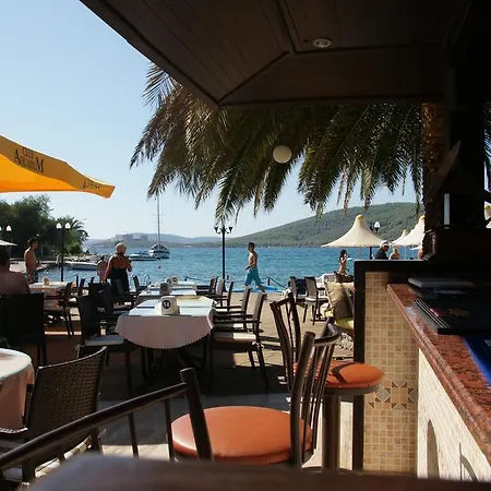Oscar Seaside & 4* غوفرجينليك