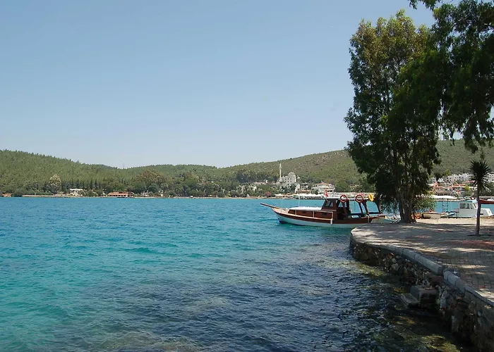 Oscar Seaside & By Club Aquarium Hotel